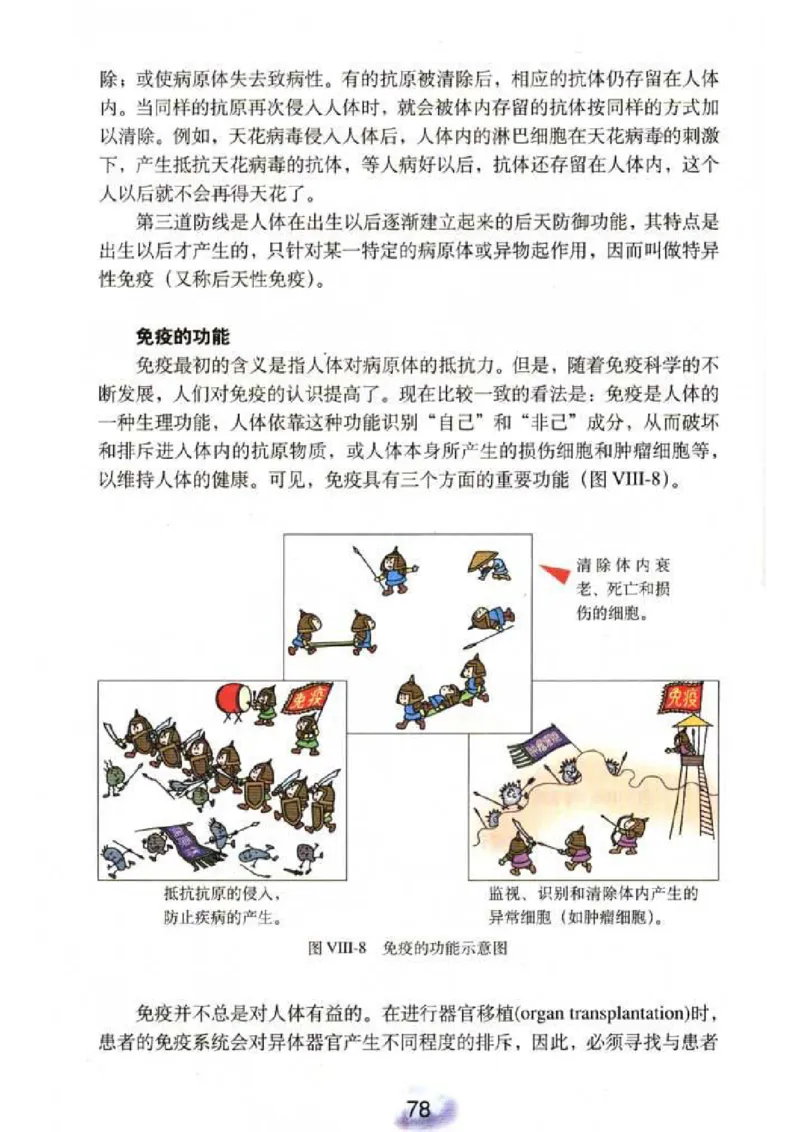 初中_生物_8_2(1)_教资初高中_教资面试2025教资面试备考资料合集_教资面试资料合集_2025教资面试资料_25上教资面试-小学资料包_20教材：全册_初中_初中生物