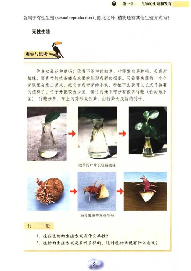 初中_生物_8_2(1)_教资初高中_教资面试2025教资面试备考资料合集_教资面试资料合集_2025教资面试资料_25上教资面试-小学资料包_20教材：全册_初中_初中生物