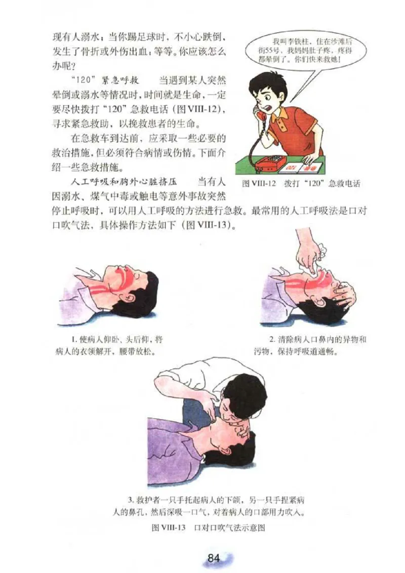 初中_生物_8_2(1)_教资初高中_教资面试2025教资面试备考资料合集_教资面试资料合集_2025教资面试资料_25上教资面试-小学资料包_20教材：全册_初中_初中生物