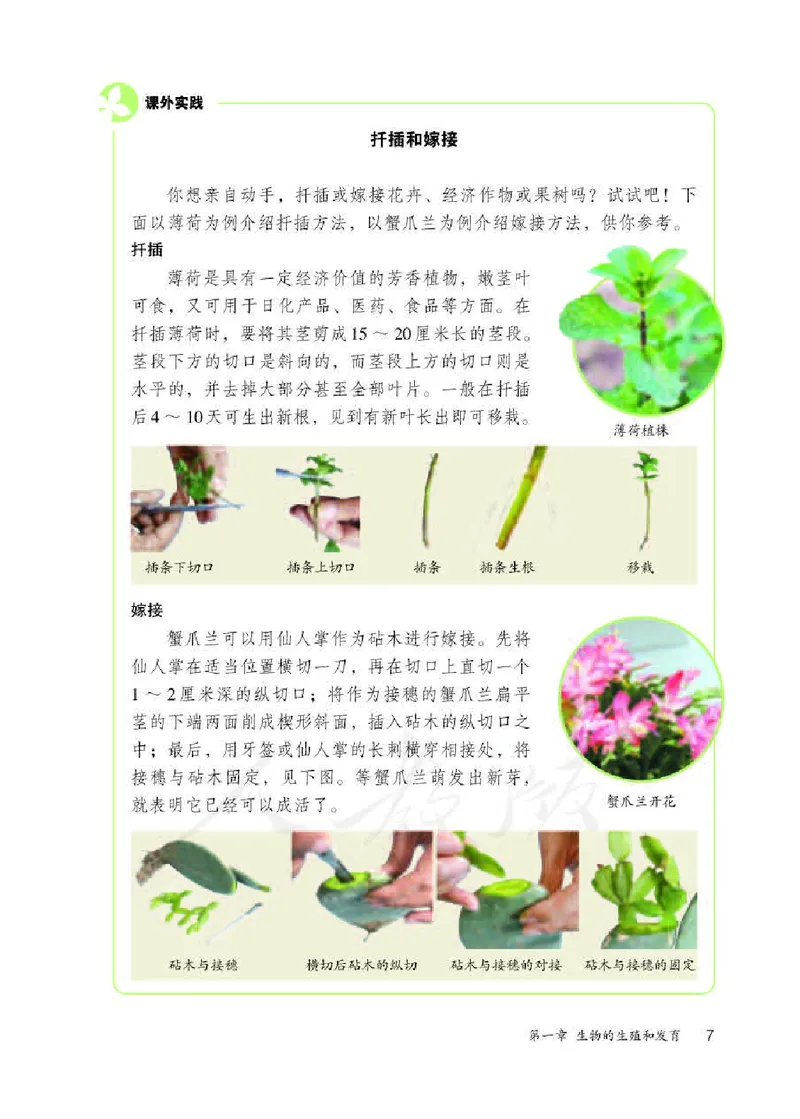 初中二年级下册生物_教资初高中_教资面试2025教资面试备考资料合集_教资面试资料合集_3、教资面试资料包大全_45大圣中小幼面试资料包_初中_生物_初中生物电子课本