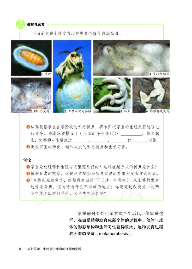 初中二年级下册生物_教资初高中_教资面试2025教资面试备考资料合集_教资面试资料合集_3、教资面试资料包大全_45大圣中小幼面试资料包_初中_生物_初中生物电子课本