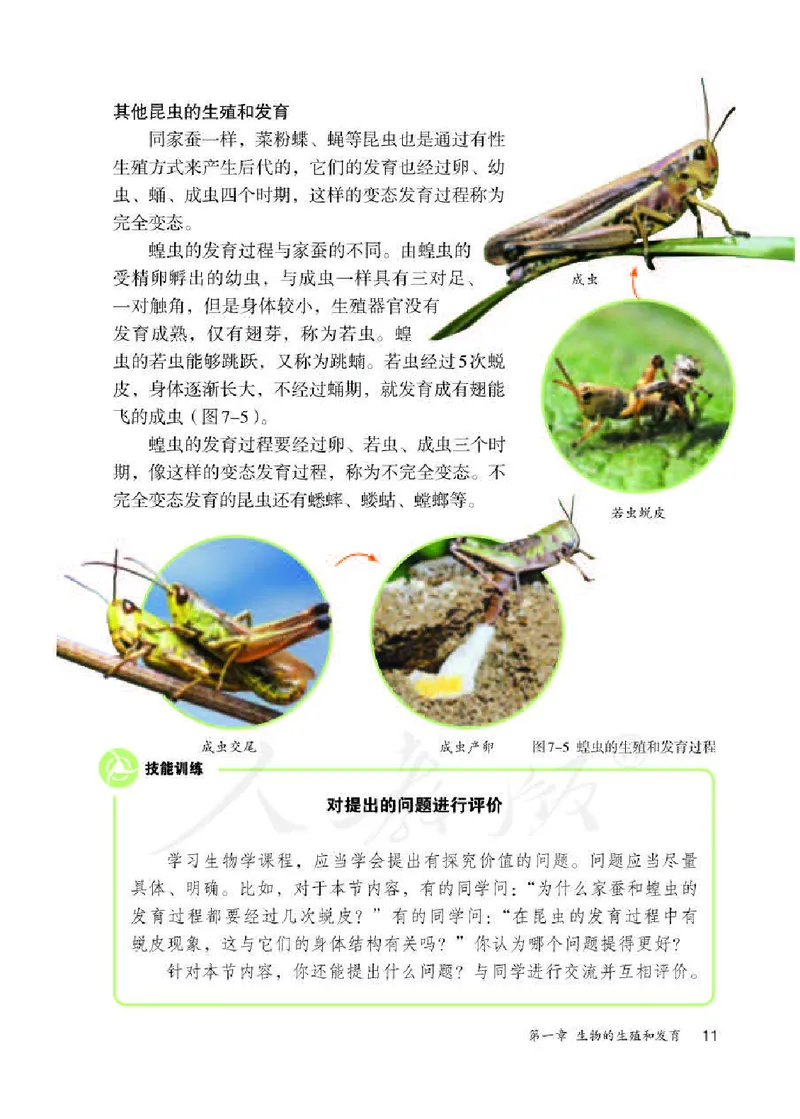 初中二年级下册生物_教资初高中_教资面试2025教资面试备考资料合集_教资面试资料合集_3、教资面试资料包大全_45大圣中小幼面试资料包_初中_生物_初中生物电子课本