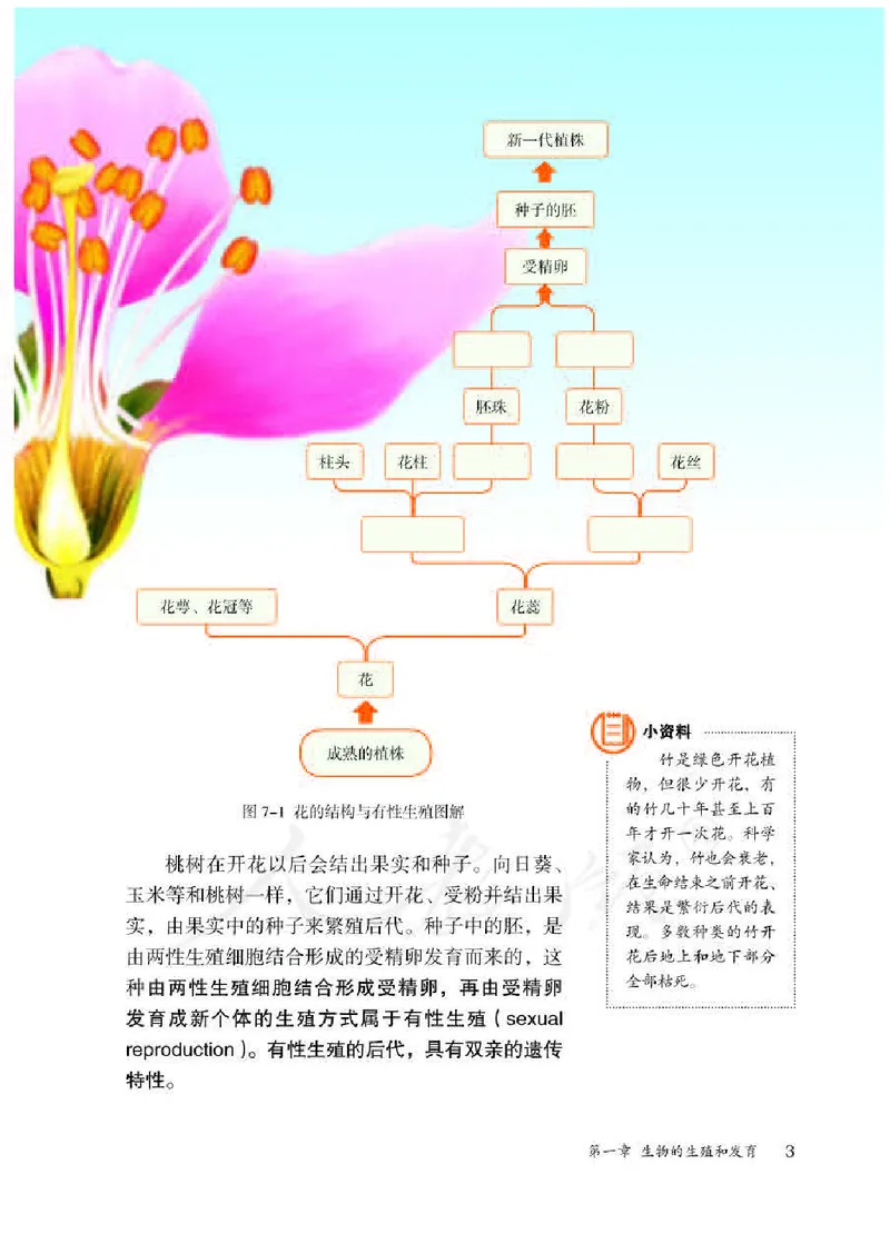 初中二年级下册生物_教资初高中_教资面试2025教资面试备考资料合集_教资面试资料合集_3、教资面试资料包大全_45大圣中小幼面试资料包_初中_生物_初中生物电子课本