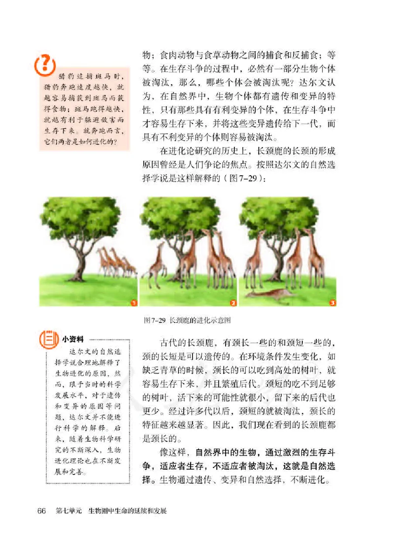 初中二年级下册生物_教资初高中_教资面试2025教资面试备考资料合集_教资面试资料合集_3、教资面试资料包大全_45大圣中小幼面试资料包_初中_生物_初中生物电子课本