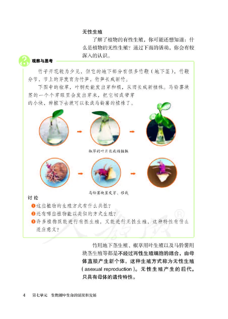 初中二年级下册生物_教资初高中_教资面试2025教资面试备考资料合集_教资面试资料合集_3、教资面试资料包大全_45大圣中小幼面试资料包_初中_生物_初中生物电子课本