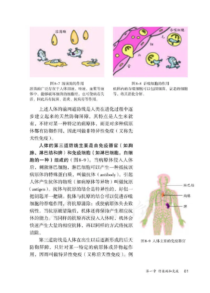 初中二年级下册生物_教资初高中_教资面试2025教资面试备考资料合集_教资面试资料合集_3、教资面试资料包大全_45大圣中小幼面试资料包_初中_生物_初中生物电子课本