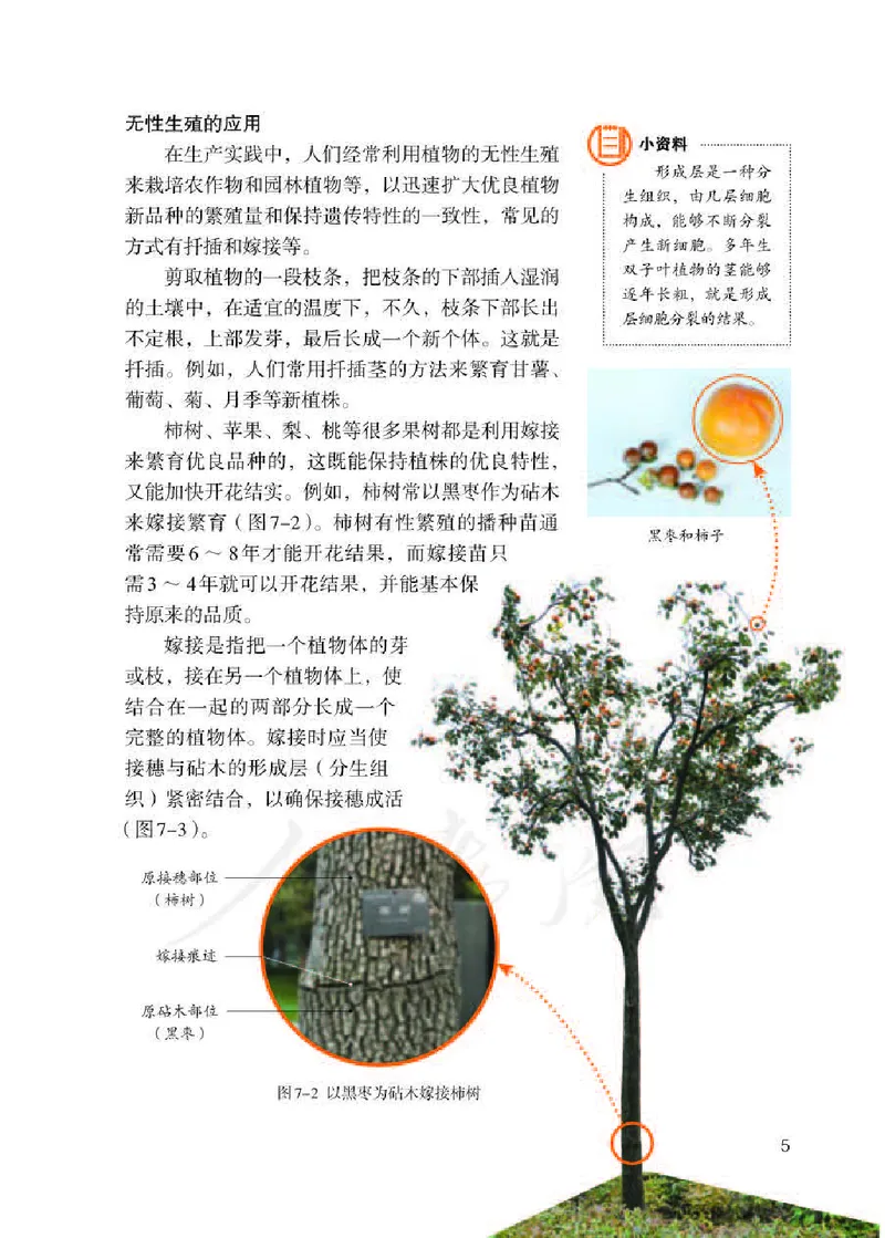 初中二年级下册生物_教资初高中_教资面试2025教资面试备考资料合集_教资面试资料合集_3、教资面试资料包大全_45大圣中小幼面试资料包_初中_生物_初中生物电子课本