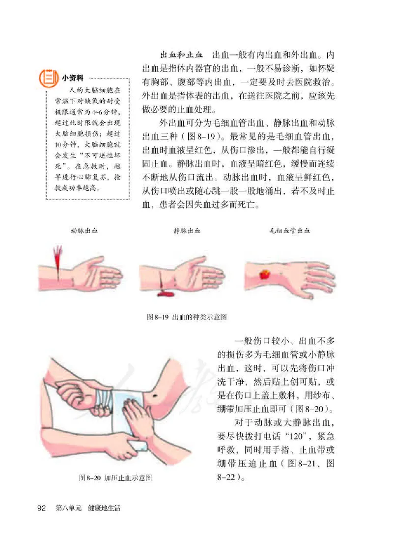 初中二年级下册生物_教资初高中_教资面试2025教资面试备考资料合集_教资面试资料合集_3、教资面试资料包大全_45大圣中小幼面试资料包_初中_生物_初中生物电子课本