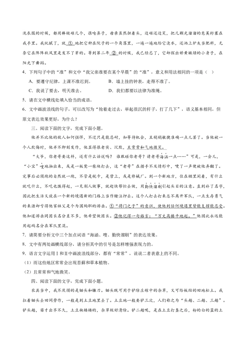 专题26语言的表达效果类新题型（练习）-2024年高考语文二轮复习讲练测（新教材新高考）(原卷版)(1)_1.2025语文总复习_2024年新高考资料_2.2024二轮复习