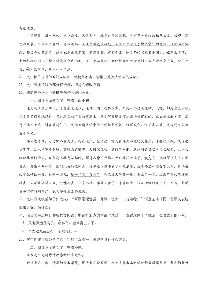 专题26语言的表达效果类新题型（练习）-2024年高考语文二轮复习讲练测（新教材新高考）(原卷版)(1)_1.2025语文总复习_2024年新高考资料_2.2024二轮复习