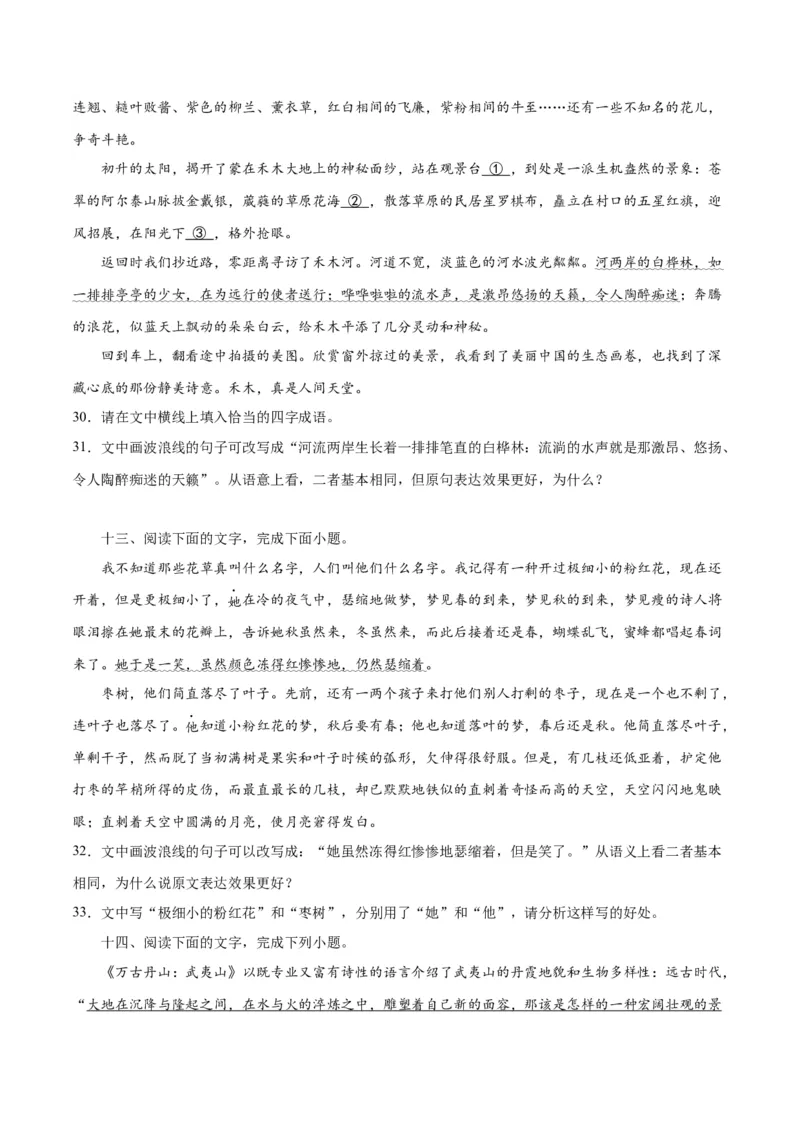 专题26语言的表达效果类新题型（练习）-2024年高考语文二轮复习讲练测（新教材新高考）(原卷版)(1)_1.2025语文总复习_2024年新高考资料_2.2024二轮复习