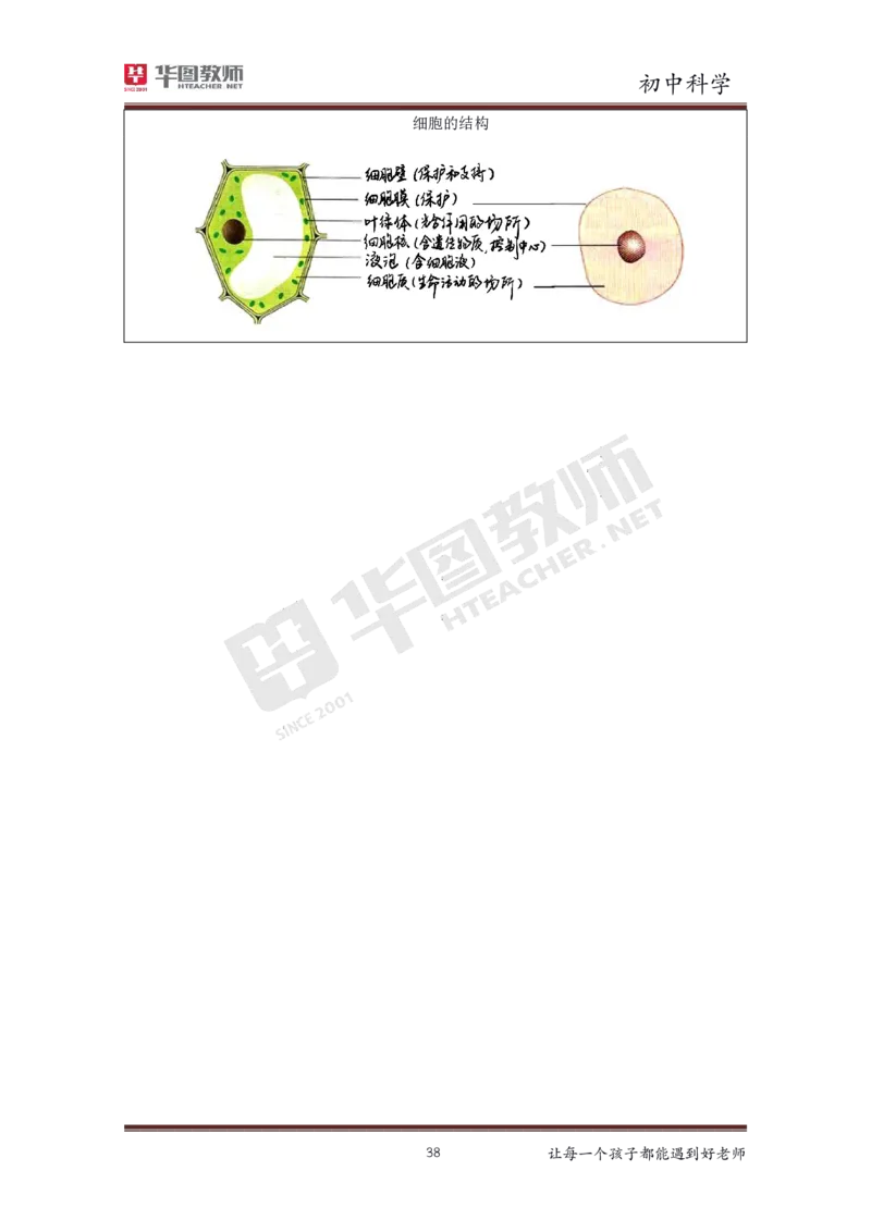 初中科学更多资料加入._教资初高中_教资面试2025教资面试备考资料合集_教资面试资料合集_3、教资面试资料包大全_19中小学教师资格面试试库宝书_21年版本--赠送