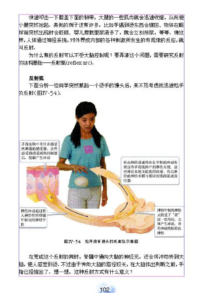 初中_生物_7_2(1)_教资初高中_教资面试2025教资面试备考资料合集_教资面试资料合集_2025教资面试资料_25上教资面试-小学资料包_20教材：全册_初中_初中生物