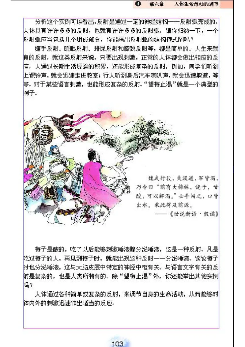 初中_生物_7_2(1)_教资初高中_教资面试2025教资面试备考资料合集_教资面试资料合集_2025教资面试资料_25上教资面试-小学资料包_20教材：全册_初中_初中生物