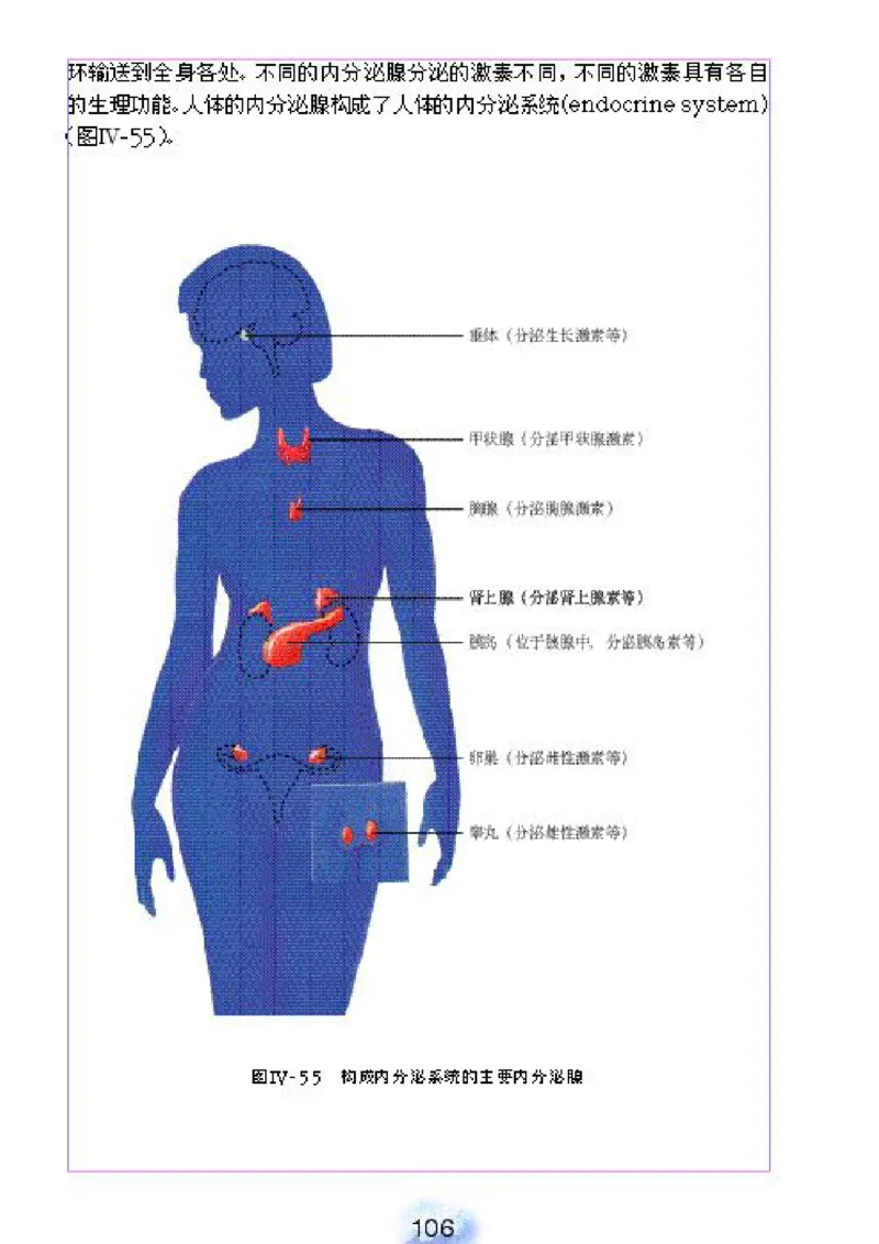 初中_生物_7_2(1)_教资初高中_教资面试2025教资面试备考资料合集_教资面试资料合集_2025教资面试资料_25上教资面试-小学资料包_20教材：全册_初中_初中生物