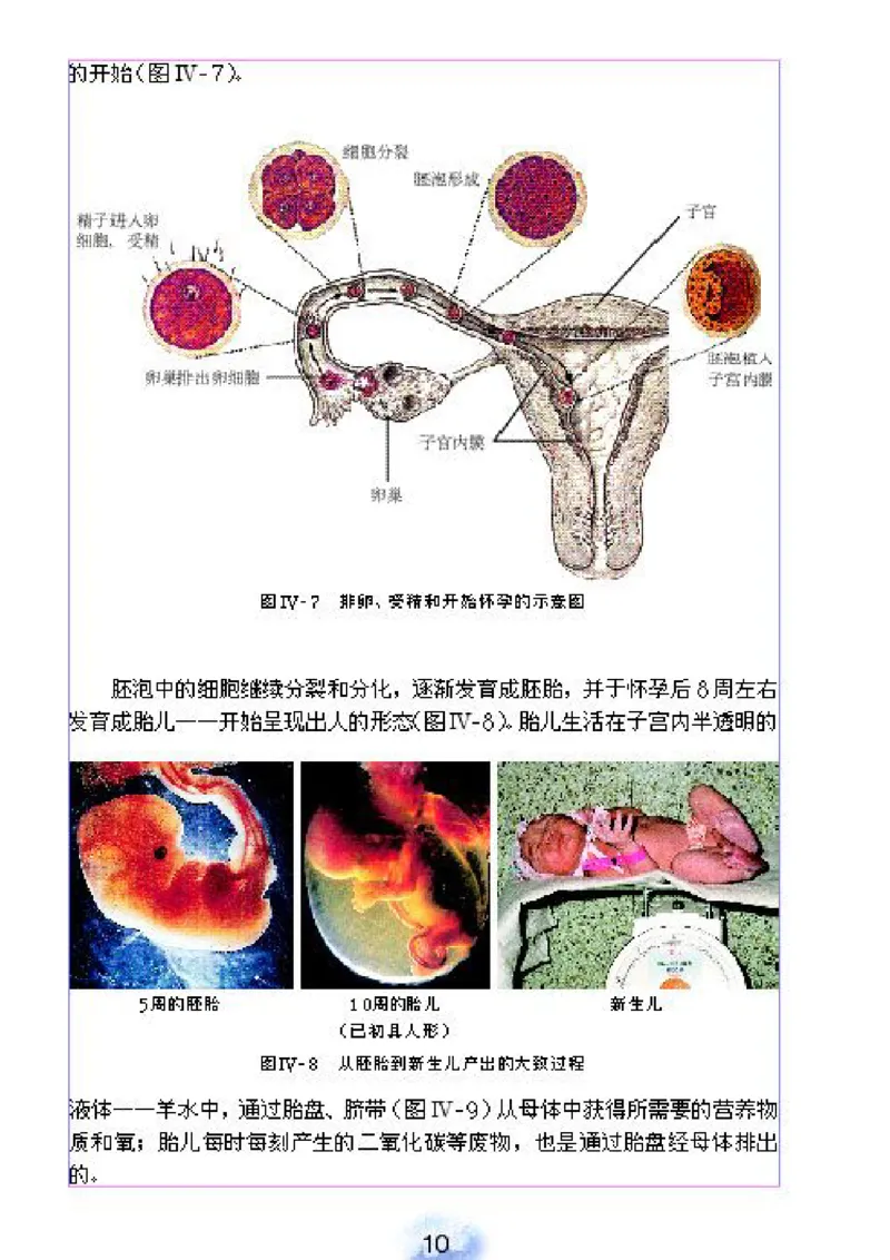 初中_生物_7_2(1)_教资初高中_教资面试2025教资面试备考资料合集_教资面试资料合集_2025教资面试资料_25上教资面试-小学资料包_20教材：全册_初中_初中生物