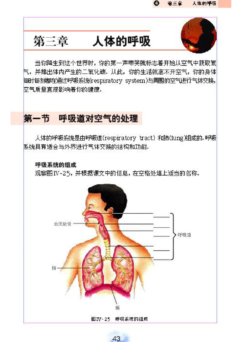 初中_生物_7_2(1)_教资初高中_教资面试2025教资面试备考资料合集_教资面试资料合集_2025教资面试资料_25上教资面试-小学资料包_20教材：全册_初中_初中生物