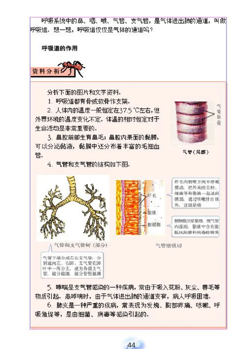 初中_生物_7_2(1)_教资初高中_教资面试2025教资面试备考资料合集_教资面试资料合集_2025教资面试资料_25上教资面试-小学资料包_20教材：全册_初中_初中生物