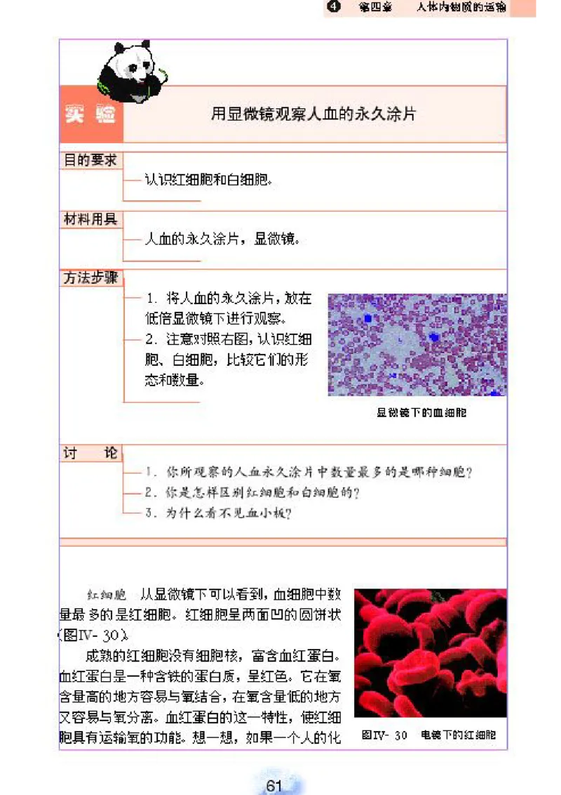 初中_生物_7_2(1)_教资初高中_教资面试2025教资面试备考资料合集_教资面试资料合集_2025教资面试资料_25上教资面试-小学资料包_20教材：全册_初中_初中生物