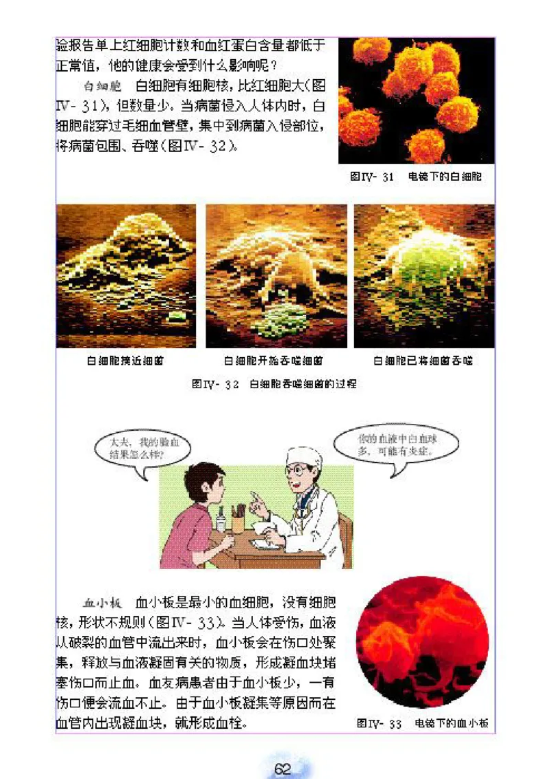 初中_生物_7_2(1)_教资初高中_教资面试2025教资面试备考资料合集_教资面试资料合集_2025教资面试资料_25上教资面试-小学资料包_20教材：全册_初中_初中生物