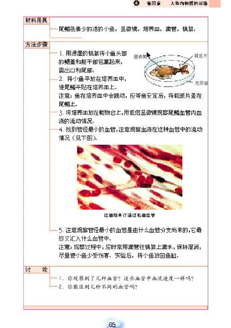 初中_生物_7_2(1)_教资初高中_教资面试2025教资面试备考资料合集_教资面试资料合集_2025教资面试资料_25上教资面试-小学资料包_20教材：全册_初中_初中生物