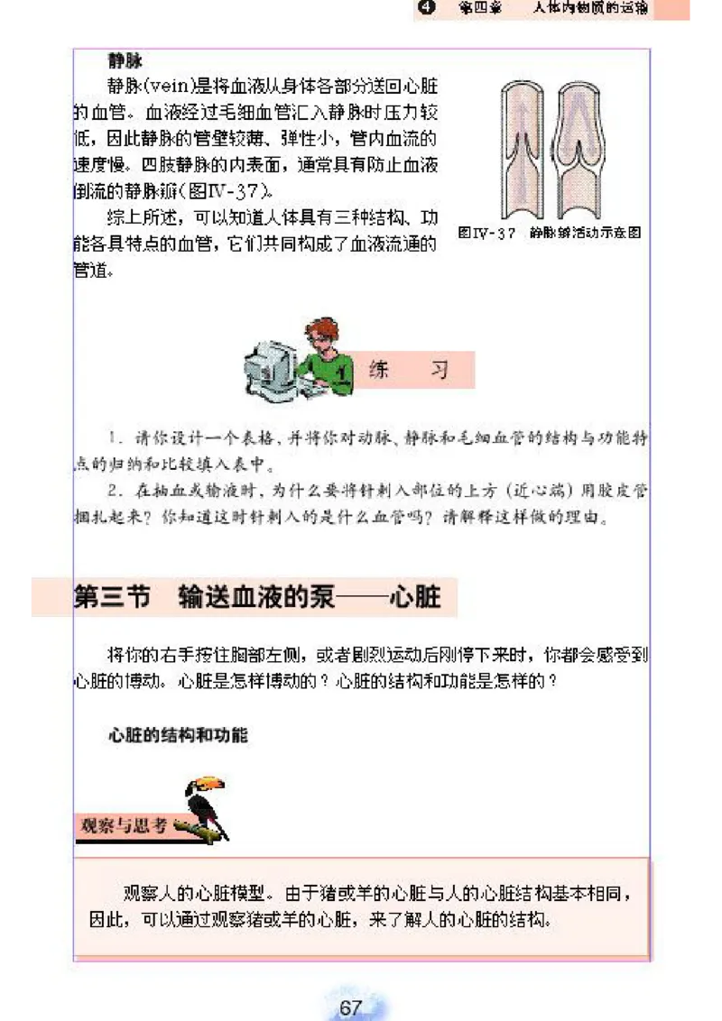 初中_生物_7_2(1)_教资初高中_教资面试2025教资面试备考资料合集_教资面试资料合集_2025教资面试资料_25上教资面试-小学资料包_20教材：全册_初中_初中生物