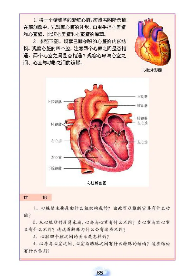 初中_生物_7_2(1)_教资初高中_教资面试2025教资面试备考资料合集_教资面试资料合集_2025教资面试资料_25上教资面试-小学资料包_20教材：全册_初中_初中生物