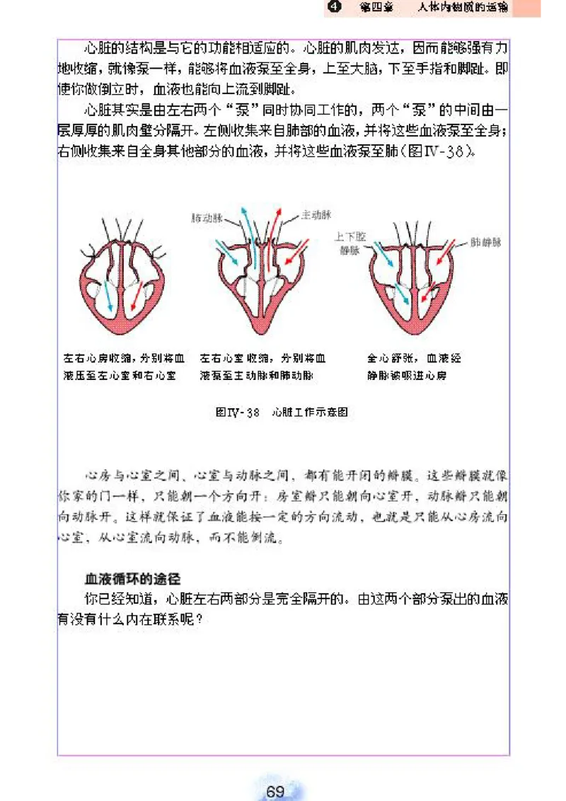 初中_生物_7_2(1)_教资初高中_教资面试2025教资面试备考资料合集_教资面试资料合集_2025教资面试资料_25上教资面试-小学资料包_20教材：全册_初中_初中生物