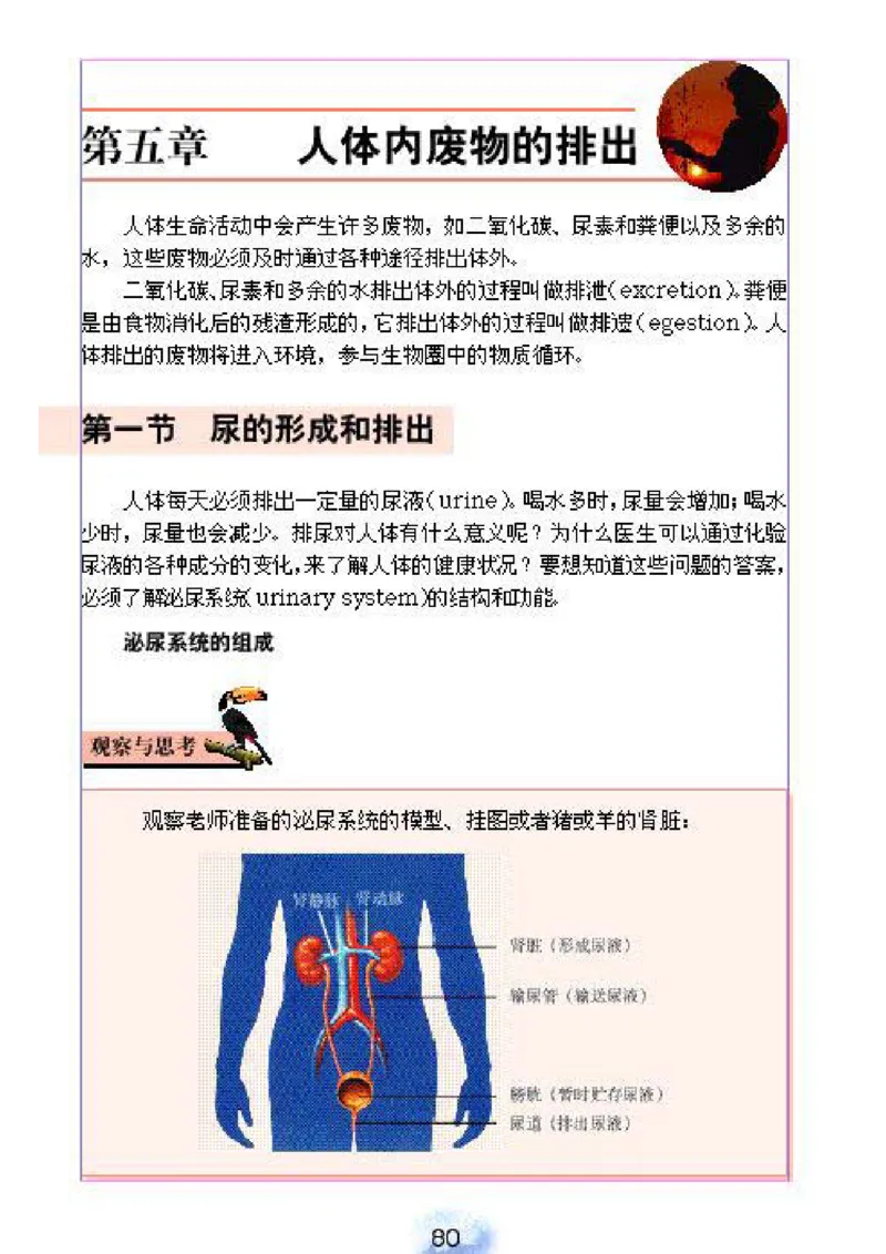 初中_生物_7_2(1)_教资初高中_教资面试2025教资面试备考资料合集_教资面试资料合集_2025教资面试资料_25上教资面试-小学资料包_20教材：全册_初中_初中生物