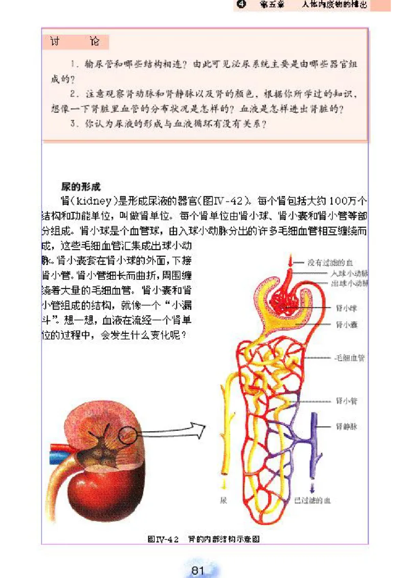 初中_生物_7_2(1)_教资初高中_教资面试2025教资面试备考资料合集_教资面试资料合集_2025教资面试资料_25上教资面试-小学资料包_20教材：全册_初中_初中生物