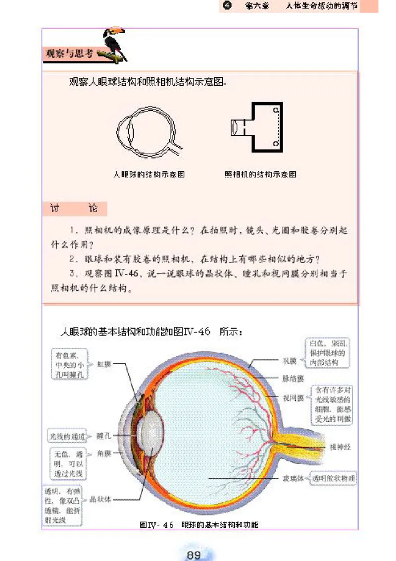初中_生物_7_2(1)_教资初高中_教资面试2025教资面试备考资料合集_教资面试资料合集_2025教资面试资料_25上教资面试-小学资料包_20教材：全册_初中_初中生物