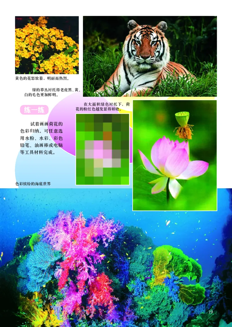 初中七年级上册美术《人美版（主编：常锐伦&欧京海）》_教资初高中_教资面试2025教资面试备考资料合集_教资面试资料合集_3、教资面试资料包大全_45大圣中小幼面试资料包_初中