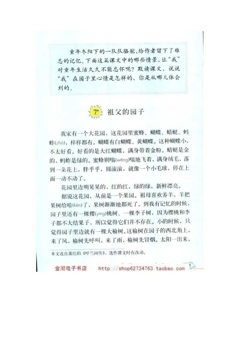 人教版5年级语文下册电子课本(1)_教资初高中_教资面试2025教资面试备考资料合集_教资面试资料合集_2025教资面试资料_25上教资面试-小学资料包_20教材：全册_小学_小学语文