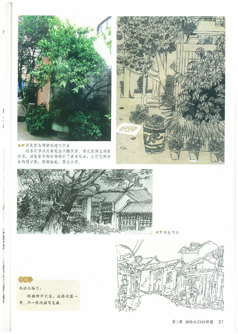 七年级上册（最新）(1)_教资初高中_教资面试2025教资面试备考资料合集_教资面试资料合集_2025教资面试资料_25上教资面试-小学资料包_20教材：全册_初中_初中美术_初中部编版