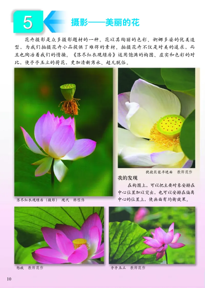 《小学五年级下册美术》（人美版-杨力）_教资初高中_教资面试2025教资面试备考资料合集_教资面试资料合集_3、教资面试资料包大全_45大圣中小幼面试资料包_小学_美术_电子课本