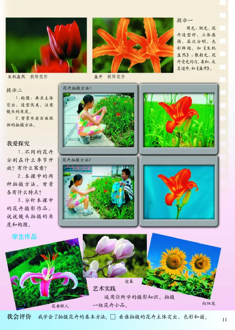 《小学五年级下册美术》（人美版-杨力）_教资初高中_教资面试2025教资面试备考资料合集_教资面试资料合集_3、教资面试资料包大全_45大圣中小幼面试资料包_小学_美术_电子课本