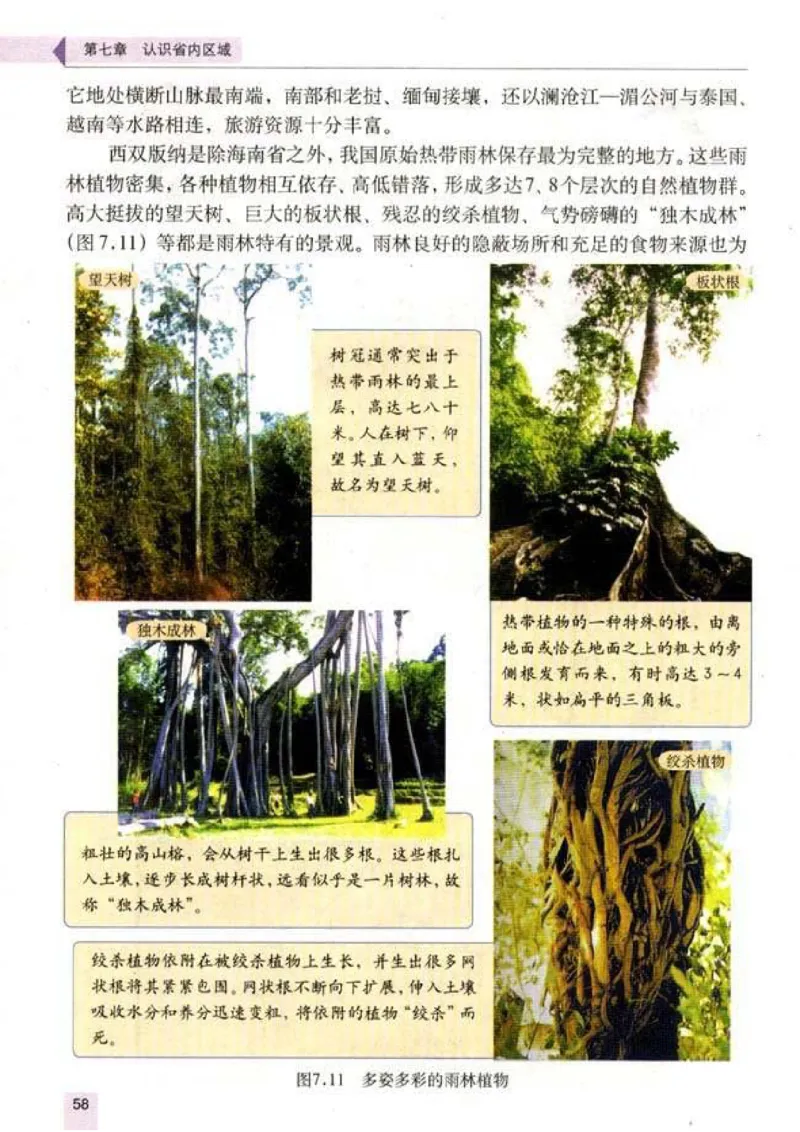 初中_地理_8_2(1)_教资初高中_教资面试2025教资面试备考资料合集_教资面试资料合集_2025教资面试资料_25上教资面试-小学资料包_20教材：全册_初中_初中地理