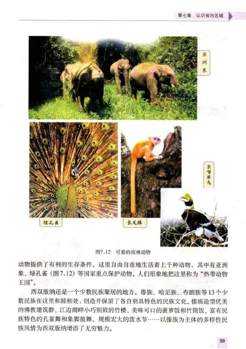 初中_地理_8_2(1)_教资初高中_教资面试2025教资面试备考资料合集_教资面试资料合集_2025教资面试资料_25上教资面试-小学资料包_20教材：全册_初中_初中地理