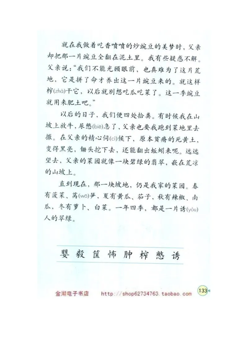 人教版4年级语文下册电子课本(1)_教资初高中_教资面试2025教资面试备考资料合集_教资面试资料合集_2025教资面试资料_25上教资面试-小学资料包_20教材：全册_小学_小学语文