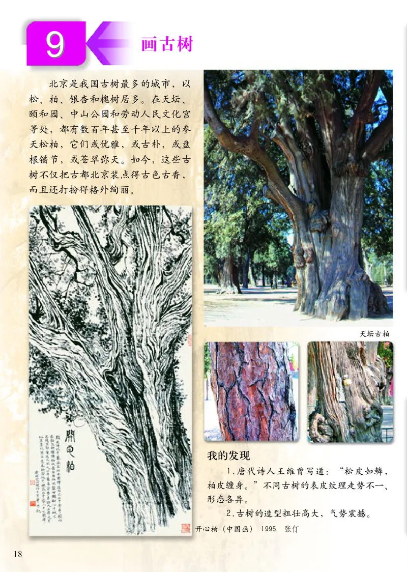 《小学三年级下册美术》（人美版-杨力）_教资初高中_教资面试2025教资面试备考资料合集_教资面试资料合集_3、教资面试资料包大全_45大圣中小幼面试资料包_小学_美术_电子课本