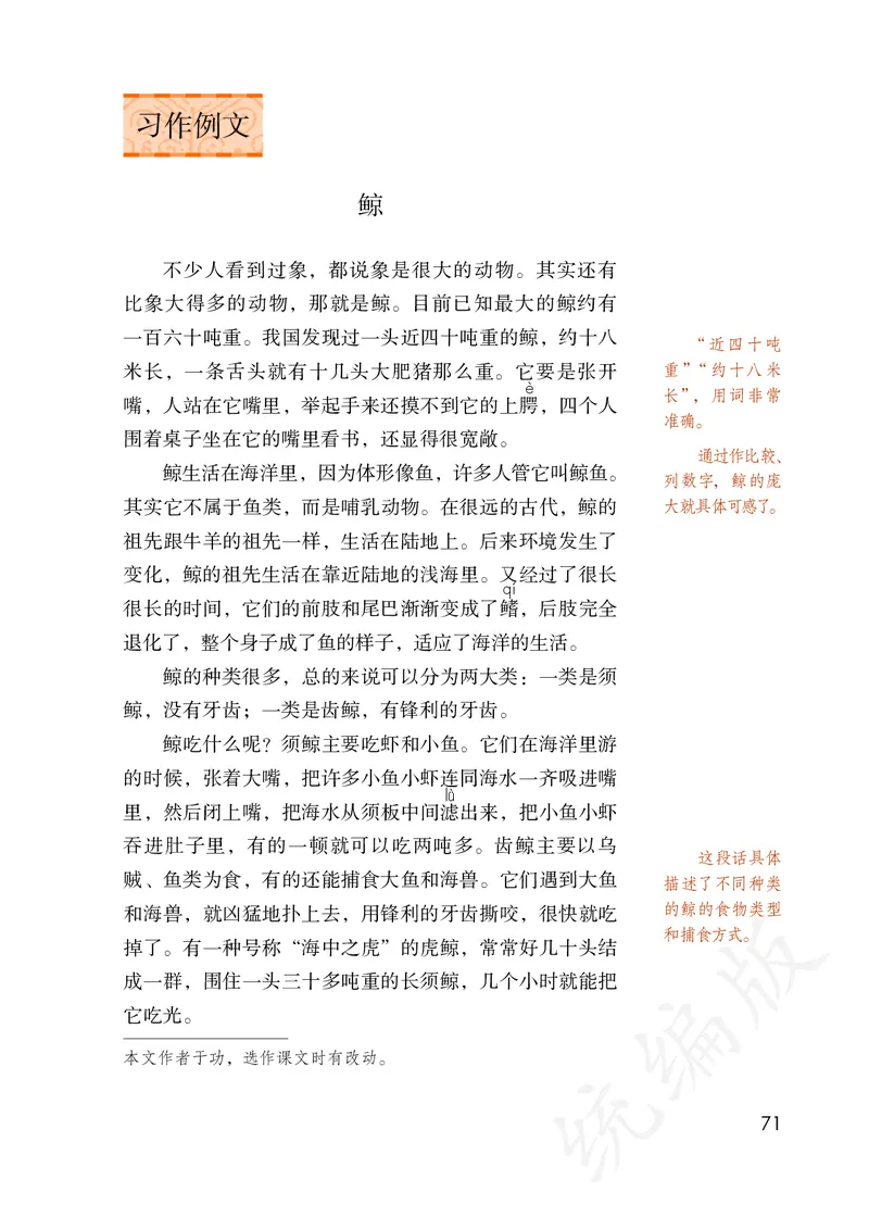 小学五年级上册语文_教资初高中_教资面试2025教资面试备考资料合集_教资面试资料合集_3、教资面试资料包大全_45大圣中小幼面试资料包_小学_语文_电子课本