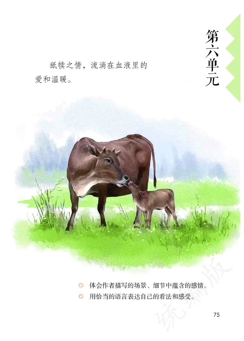 小学五年级上册语文_教资初高中_教资面试2025教资面试备考资料合集_教资面试资料合集_3、教资面试资料包大全_45大圣中小幼面试资料包_小学_语文_电子课本