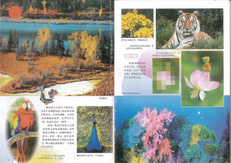 人美版初中美术七年级上册1(1)_教资初高中_教资面试2025教资面试备考资料合集_教资面试资料合集_2025教资面试资料_25上教资面试-小学资料包_20教材：全册_初中_初中美术