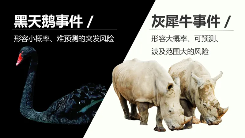 第39讲环境安全与国家安全(附战略与行动)（课件）-2024年高考地理一轮复习讲练测（新教材新高考）_9.2025地理总复习_2024年新高考资料_1.2024一轮复习