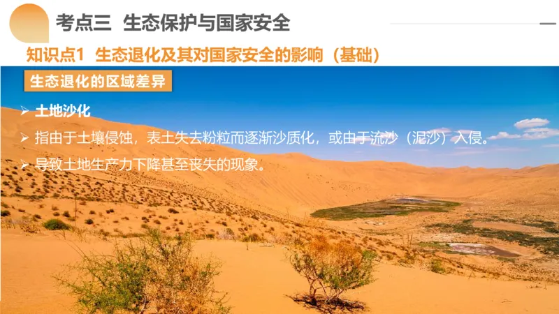 第39讲环境安全与国家安全(附战略与行动)（课件）-2024年高考地理一轮复习讲练测（新教材新高考）_9.2025地理总复习_2024年新高考资料_1.2024一轮复习