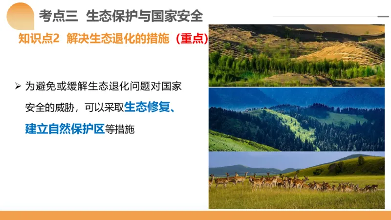 第39讲环境安全与国家安全(附战略与行动)（课件）-2024年高考地理一轮复习讲练测（新教材新高考）_9.2025地理总复习_2024年新高考资料_1.2024一轮复习