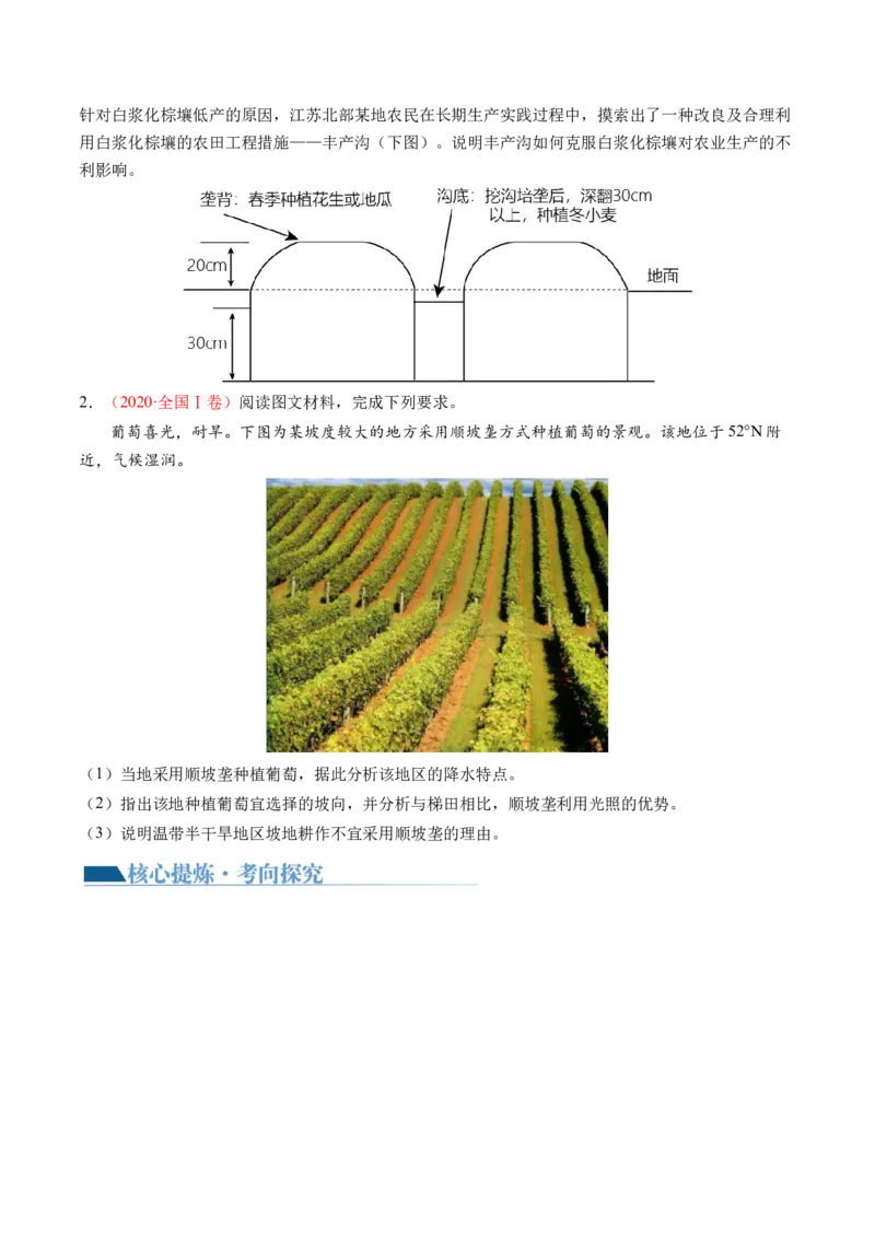 微专题农业技术、市场竞争力、新型服务业（讲义）（原卷版）_9.2025地理总复习_2024年新高考资料_2.2024二轮复习_2024年高考地理二轮复习讲练测（新教材新高考）_微专题