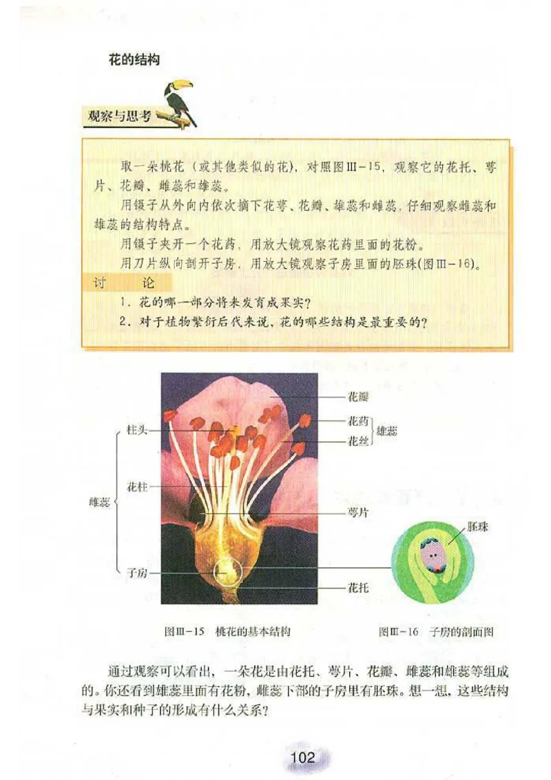初中_生物_7_1(1)_教资初高中_教资面试2025教资面试备考资料合集_教资面试资料合集_2025教资面试资料_25上教资面试-小学资料包_20教材：全册_初中_初中生物