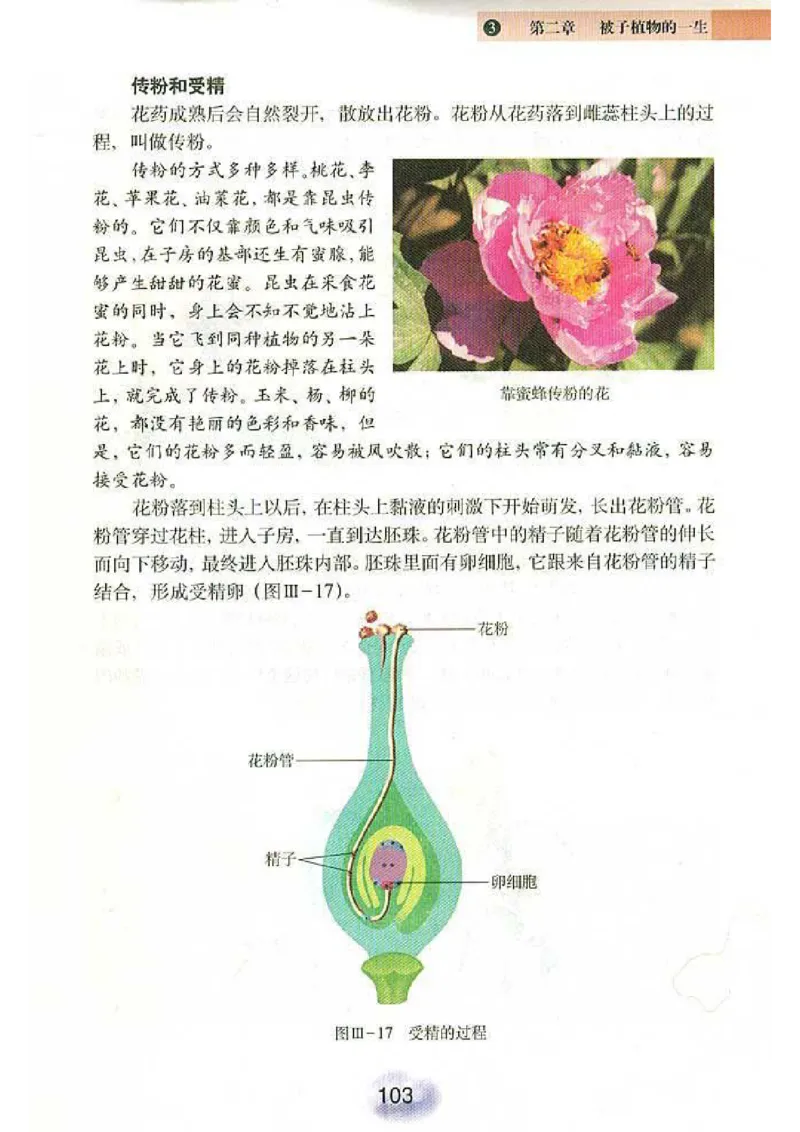 初中_生物_7_1(1)_教资初高中_教资面试2025教资面试备考资料合集_教资面试资料合集_2025教资面试资料_25上教资面试-小学资料包_20教材：全册_初中_初中生物