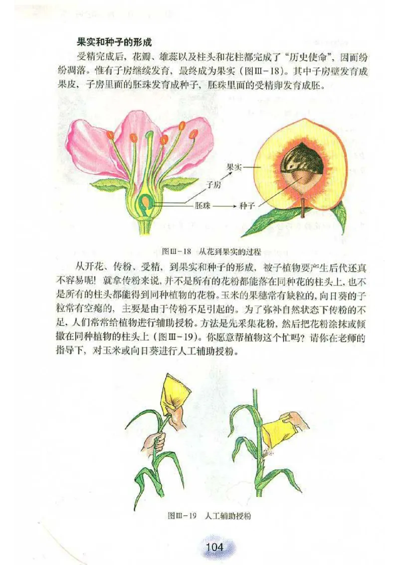 初中_生物_7_1(1)_教资初高中_教资面试2025教资面试备考资料合集_教资面试资料合集_2025教资面试资料_25上教资面试-小学资料包_20教材：全册_初中_初中生物